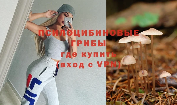 MDMA Premium VHQ Горнозаводск