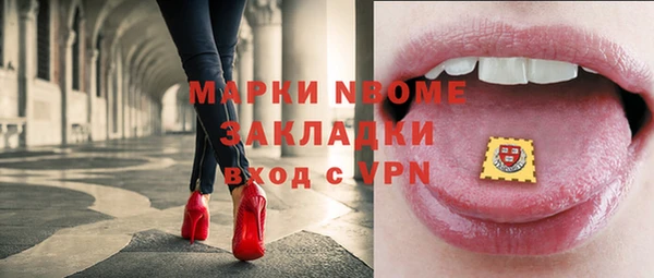 apvp Горняк